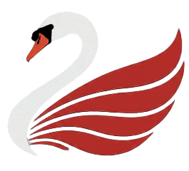 SwanIntel Logo